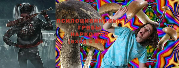 spice Бронницы